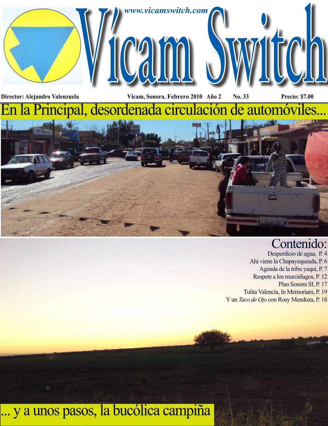 Portada: VICAMSWITCH NO. 33