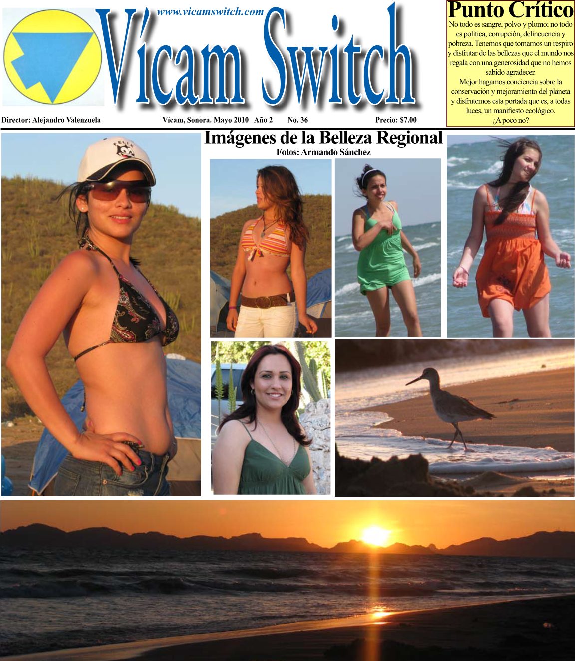 Portada: VICAMSWITCH NO. 36